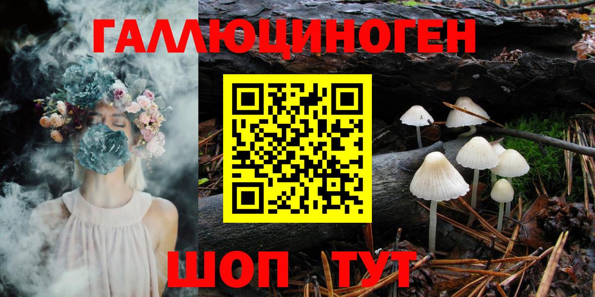 Псилоцибиновые грибы мухоморы Гурьевск