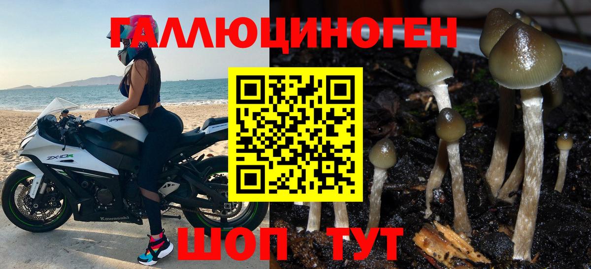 COCAIN  МАРИХУАНА  МЕТ  Бошки Шишки  ГАШИШ  Экстази  Гурьевск  МЕФ   Вход с VPN 